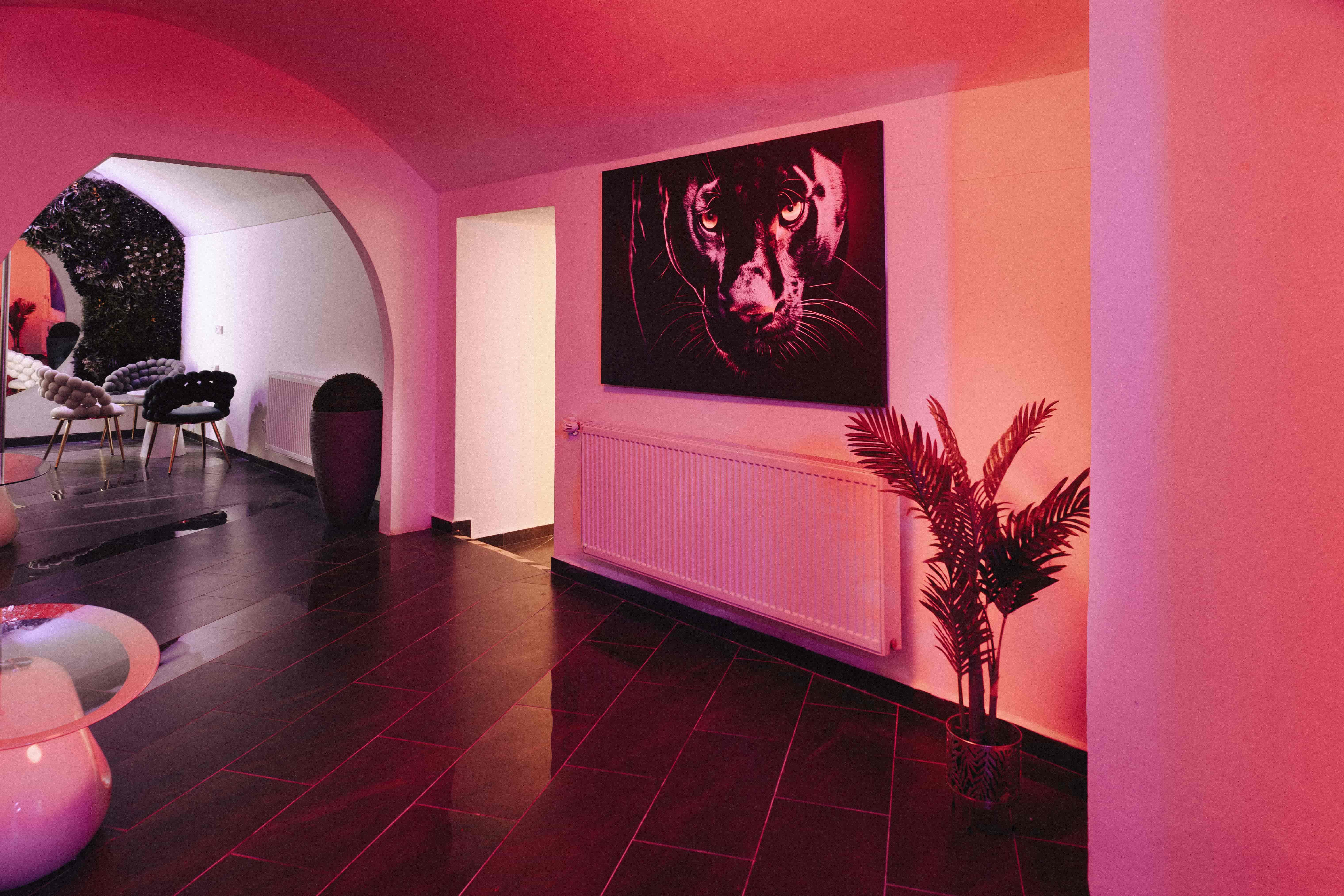 Diamond Strip Club Košice — fotogaléria 8